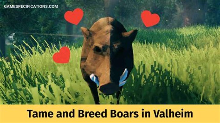 How to tame and breed boars in Valheim
