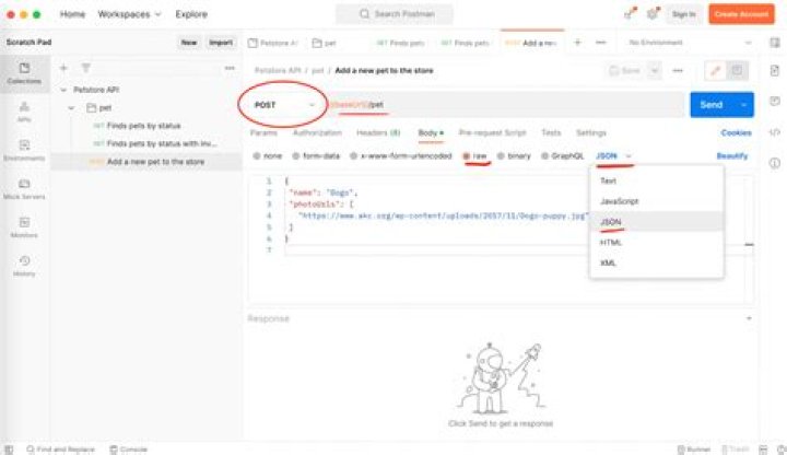 How to Test an API Using Python and JavaScript