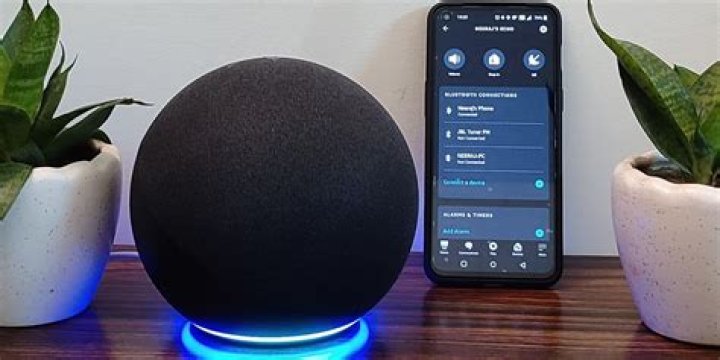 How to Use Your Echo as a Speaker