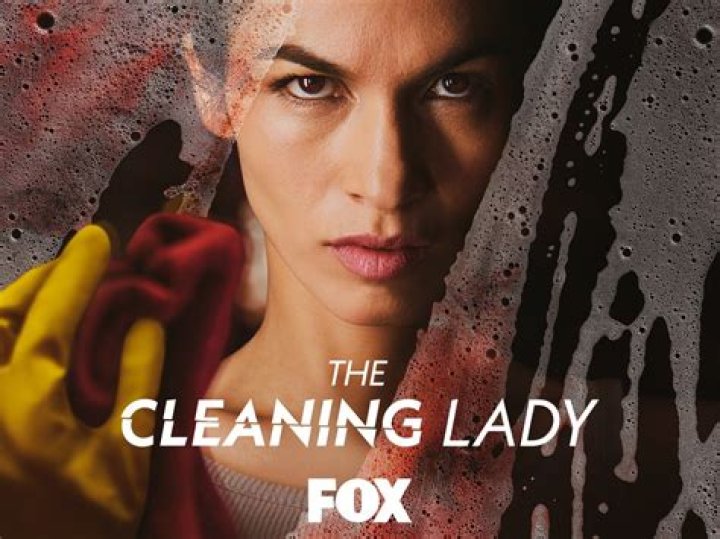 How to Watch 'The Cleaning Lady' Season 2