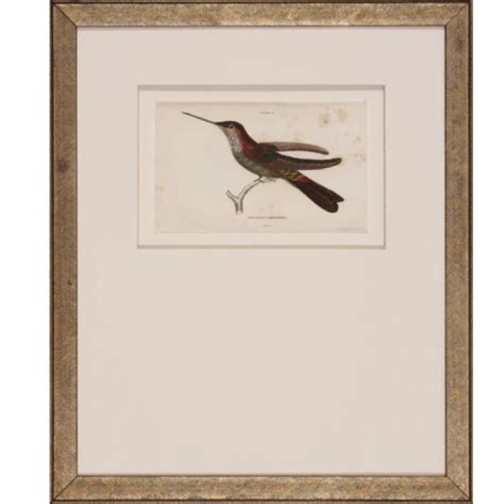 Hummingbird II
– Laurel Mercantile