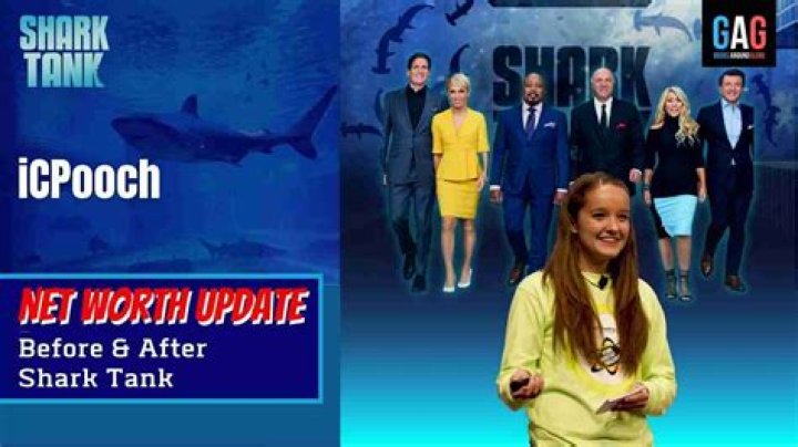 ICPooch Shark Tank Net Worth 2024