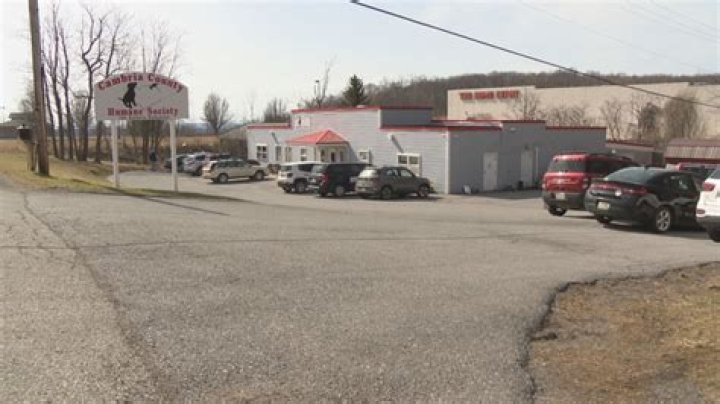 Inspections and anonymous reports show issues inside Cambria County Humane Society