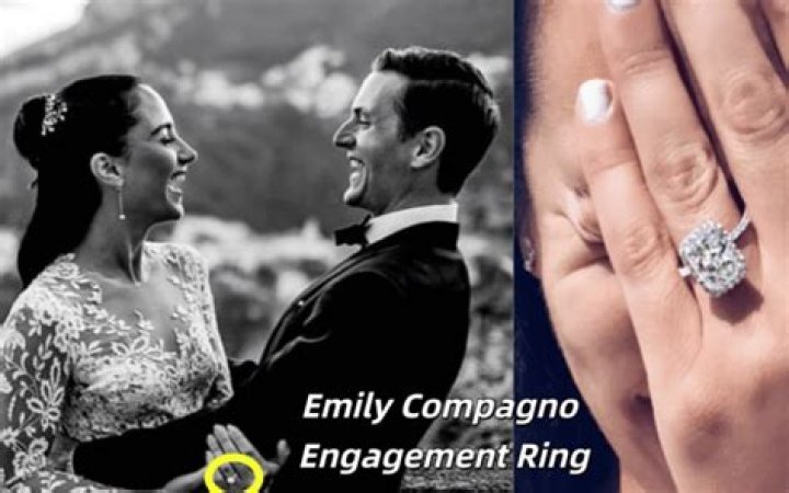 Intriguing Insights Into Emily Compagno's Engagement Journey