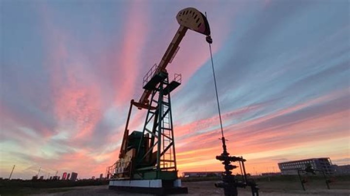 Investors sue Daqing Lianyi Petro