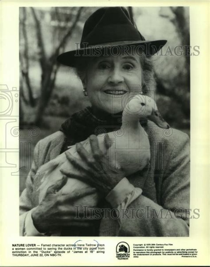 Irene Tedrow: A Comprehensive Look At Her Life And Career