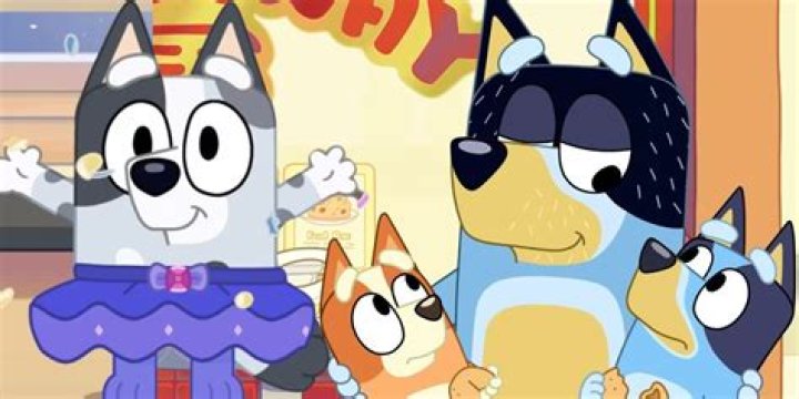 Is Bingo a Boy or Girl in the Bluey Cartoon?