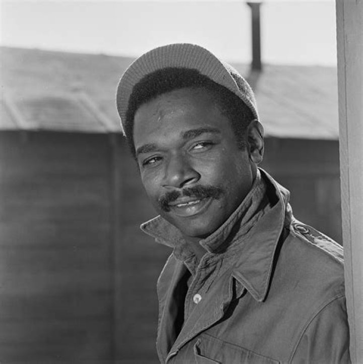 Ivan Dixon Biography