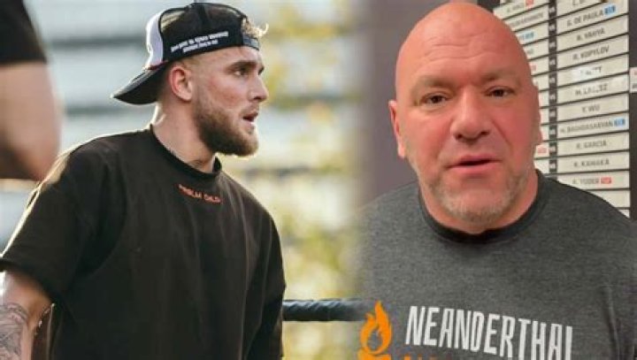 Jake Paul fires shots at Dana White with bizarre Halloween costume