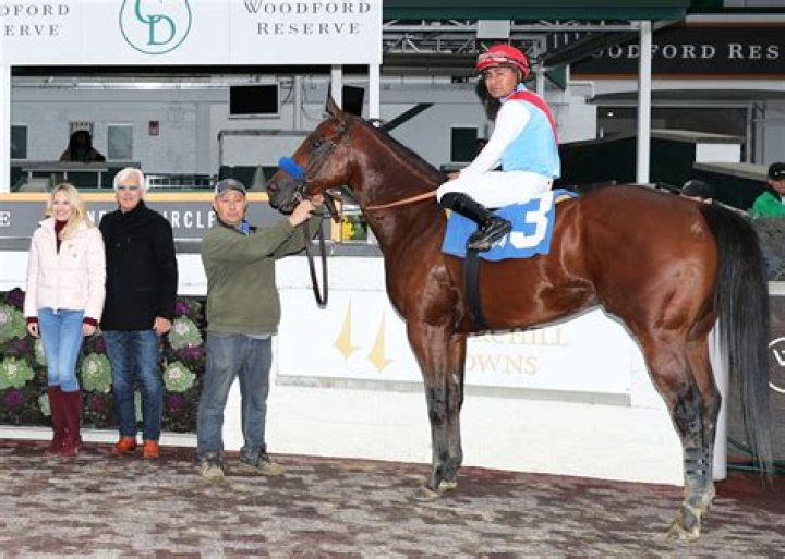 Jill Baffert: Unlocking The Secrets Of Horse Racing Success