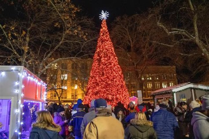 Johnstown Christmas tree assembled in Central Park