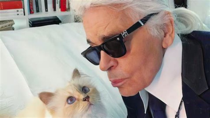 Karl Lagerfeld Cat Net Worth 2024
