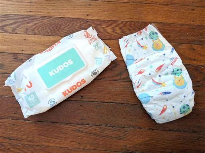 Kudos Diapers Net Worth 2024