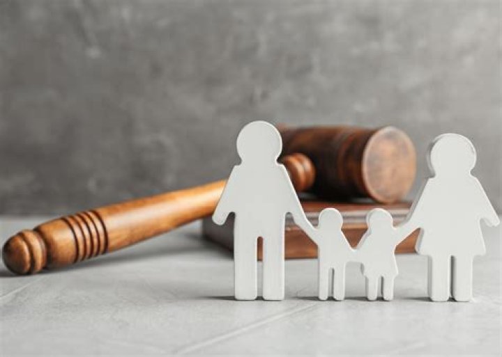 	La custodia de los hijos cuando deportan a los padres	