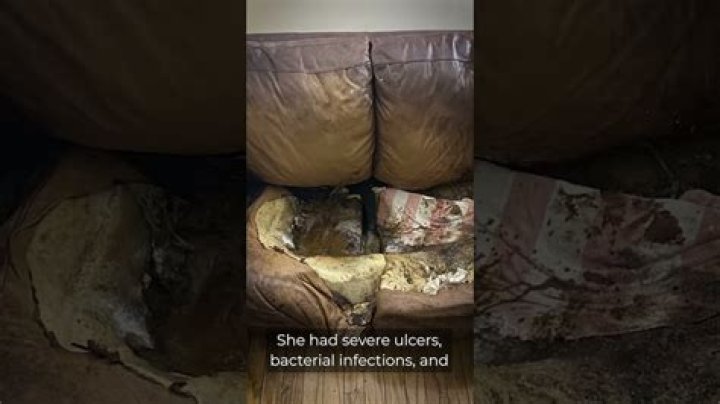 Lacey Fletcher Crime Scene Photos: A Deep Dive Into The Tragic Case