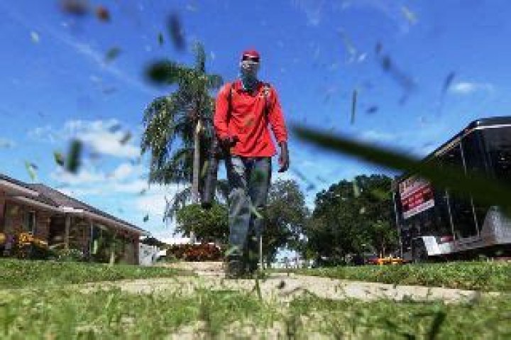 	Leaf blowers may be swept away in Fort Lauderdale	