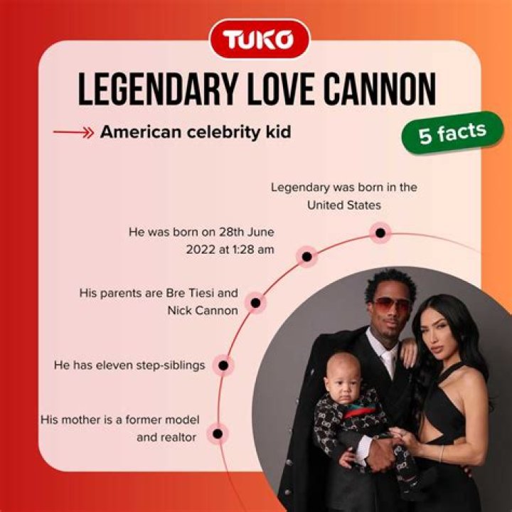 Legendary Love Cannon: The Tale Of Unyielding Romance