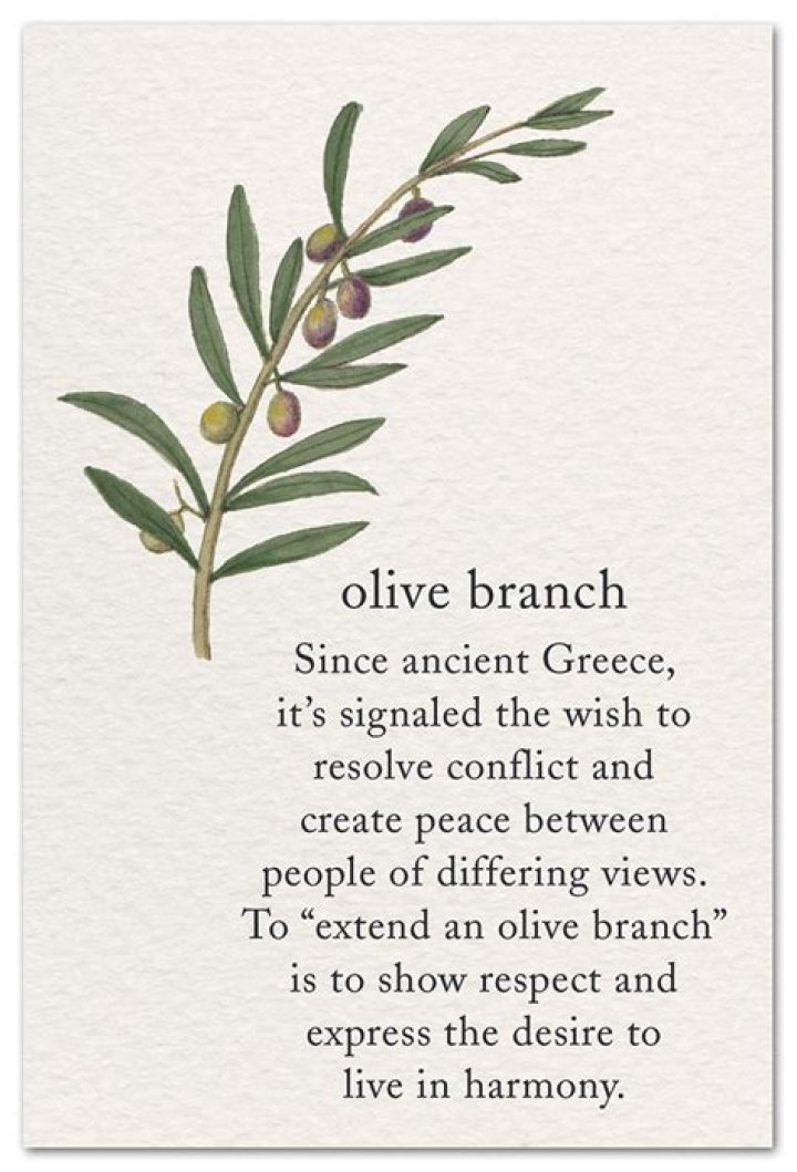 	LIBRARY OFFICIALS OFFER OLIVE BRANCH	