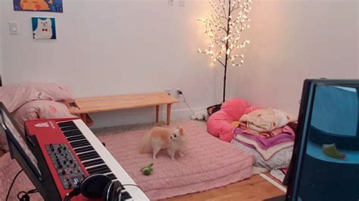 LilyPichu's room makeover stream nearly ends in disaster