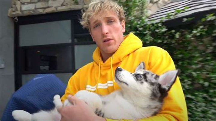 Logan Paul denies accusations that he pushed his dog into a lake