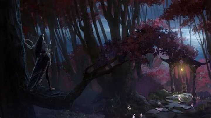 LoL MMO dev warns players 