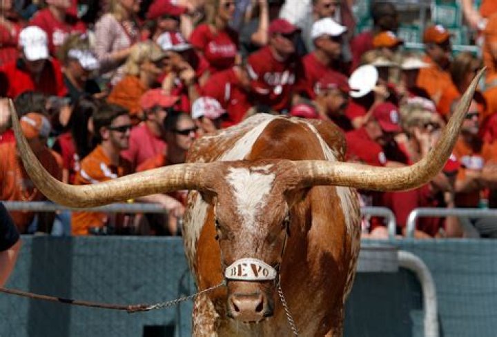 	LONGHORN GETS OK TO BUILD	