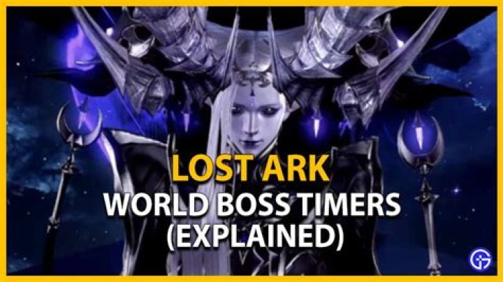 Lost Ark Timer App Explained