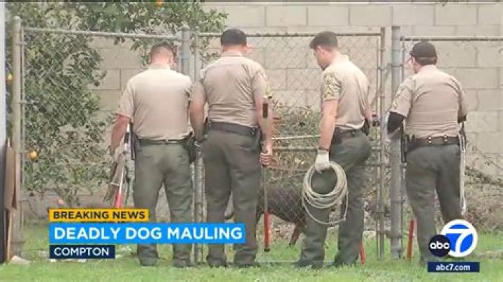 	MAULING VICTIM OWNED DOG FOR PROTECTION	
