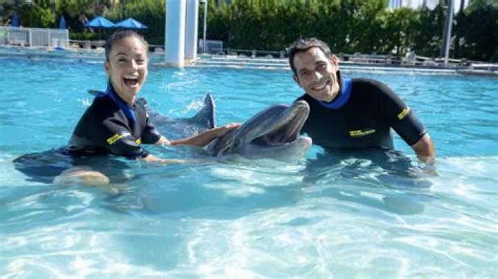 	Meet a dolphin at Miami Seaquarium dolphin for cheap	