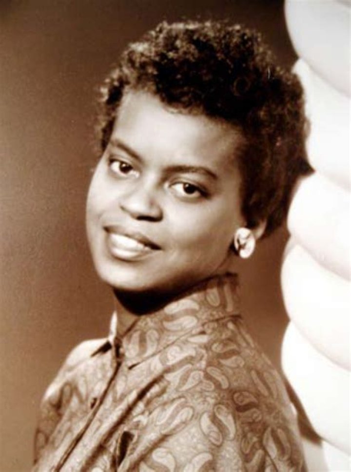 Michael Lavon Robinson: The Life And Legacy Of A Cultural Icon