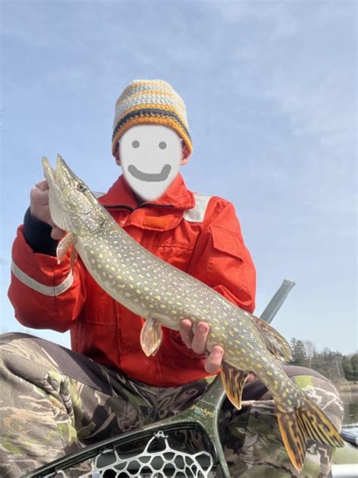 	Midwest fish? Call us hooked	