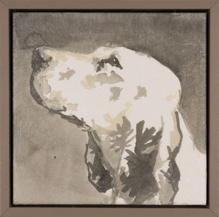 Modern Dog X
– Laurel Mercantile