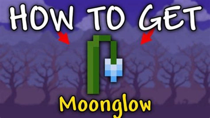 Moonglow Bay: How to Get Shells Fast & Easy (Money Farm)