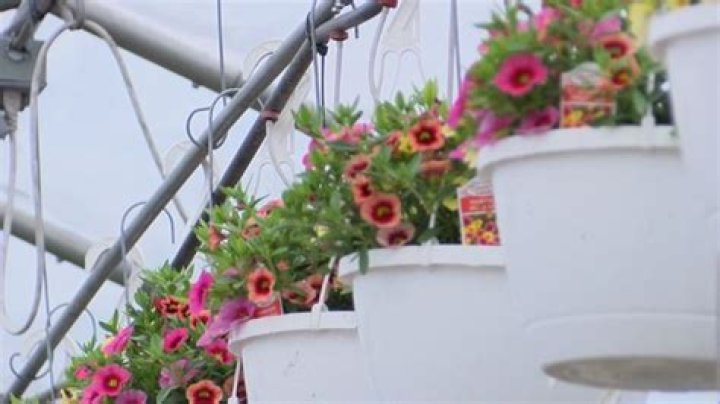 Mother's Day unaffected by inflation, Cambria county nursery keeps prices fair