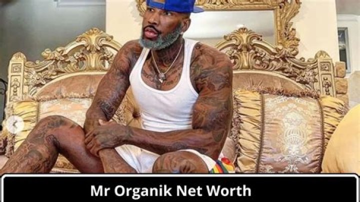 Mr Organik Net Worth 2024