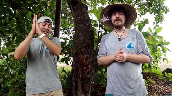 MrBeast launches TeamSeas to topple Team Trees 20 million planting goal