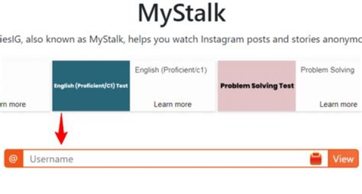 mystalk.net login safely, analysis & comments