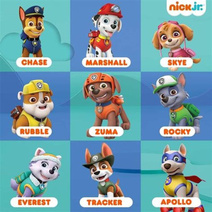 Name Paw Patrol: A Complete Guide