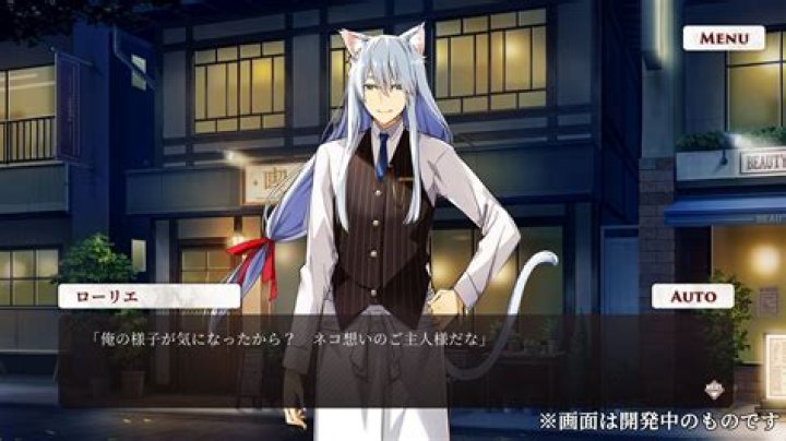 Nekopara Developer Announces Nekopara: Catboys Paradise Otome Game