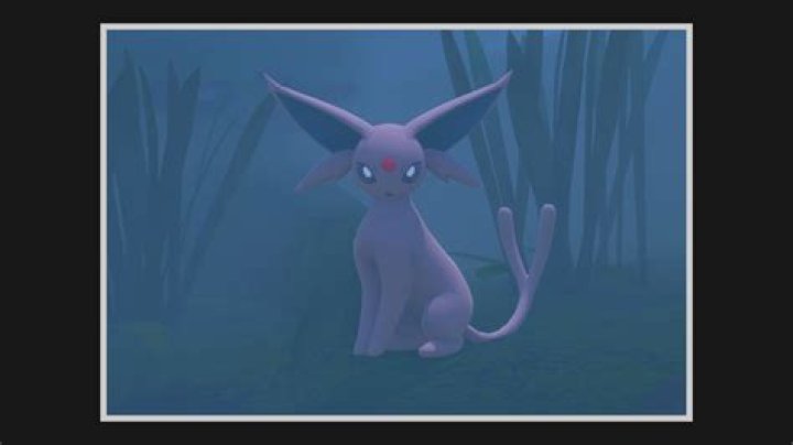 New Pokémon Snap Elsewhere Forest season routes guides