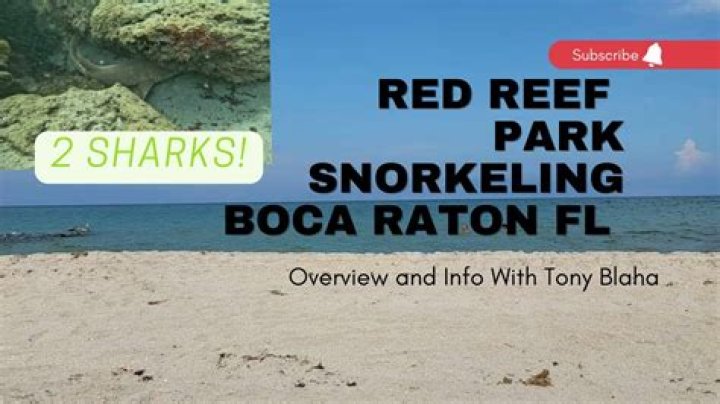 	New snorkel reef completed at Red Reef Park	