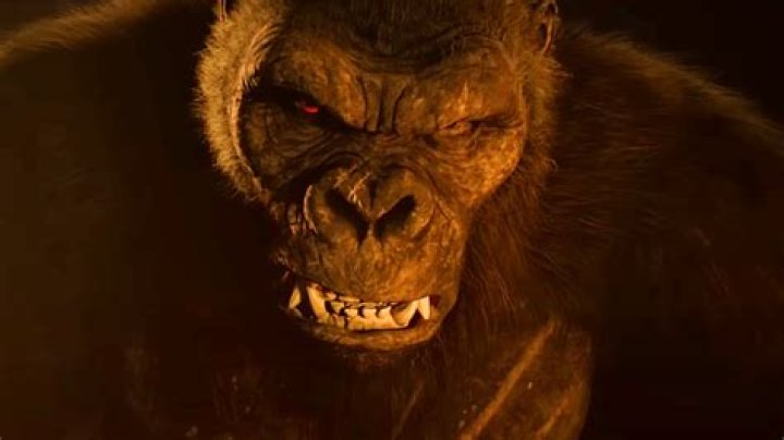 New Warzone XP Glitch Discovered in King Kong's Testicles