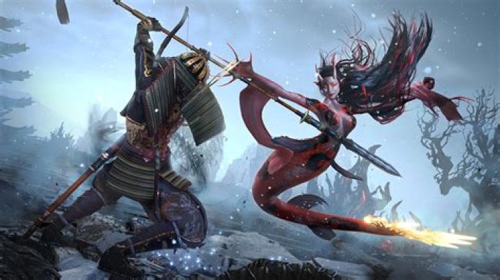 Nioh: How to Use a Spear Build
