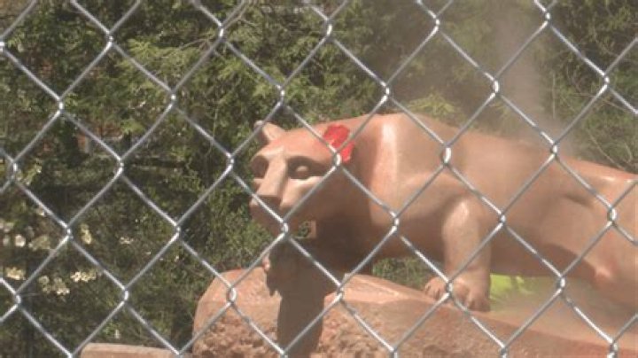 Nittany Lion Shrine and other buildings vandalized overnight