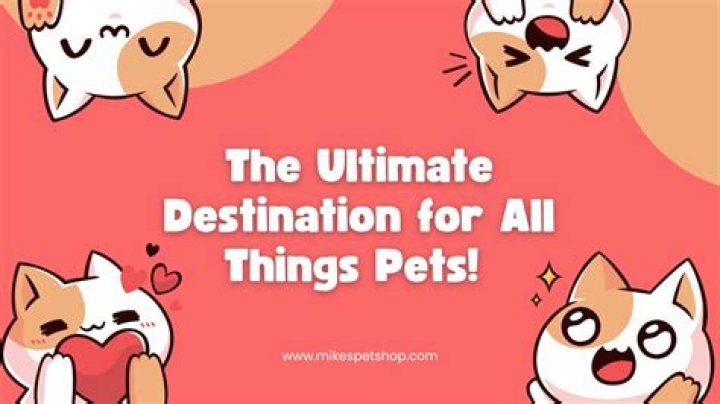 Noodle Magz: The Ultimate Destination For All Things Noodle