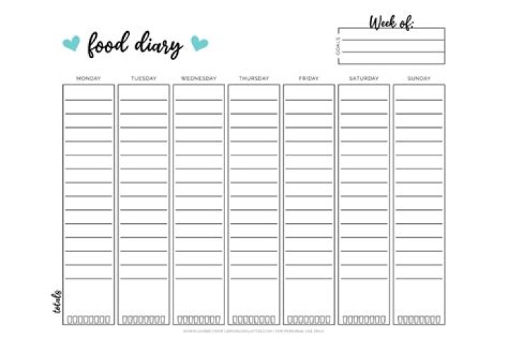 NoodMagazine: Your Ultimate Source For Food And Lifestyle