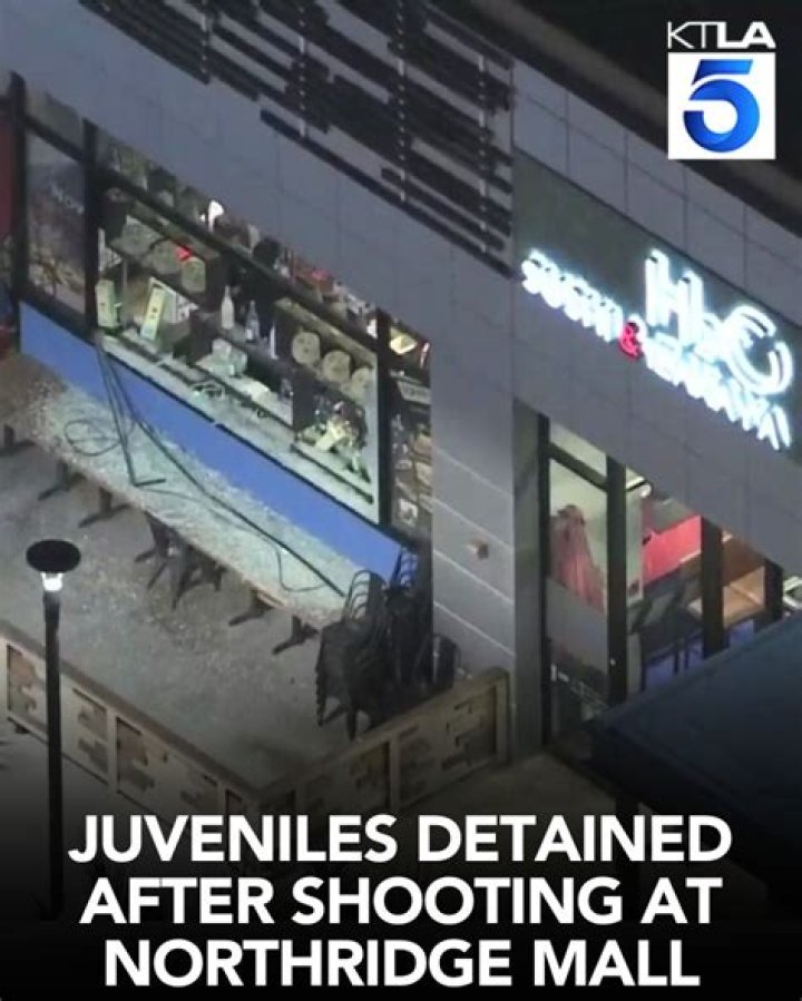 Northridge Mall Shooting, Gunfire Erupts During Black Friday Shopping At Northridge Mall