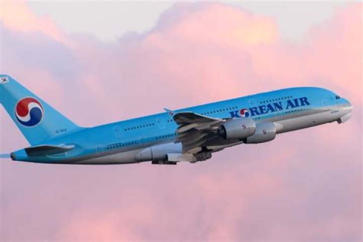 Opinion | Korean Air marks 50 years of excellence, or is it accidents?