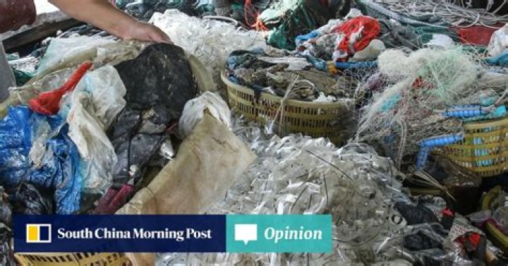 Opinion | When packaging in Hong Kong meant sago or rattan, before plastic bag nightmare began