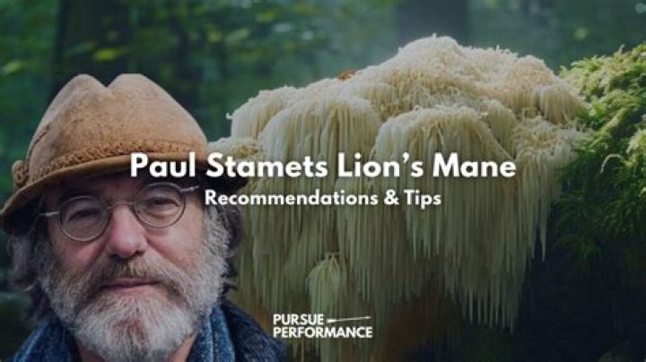 Paul Stamets Net Worth 2024